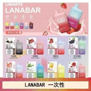 LANA BAR可充电一次性電子煙霧化5000口(3.0%)
