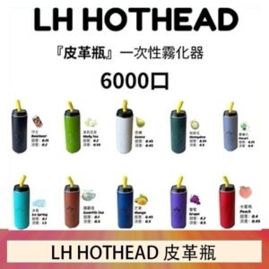 LH HOTHEAD皮革瓶電子煙可充電6000口一次性