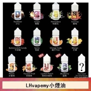 LHvapemy馬來西亞主機小煙油30ml