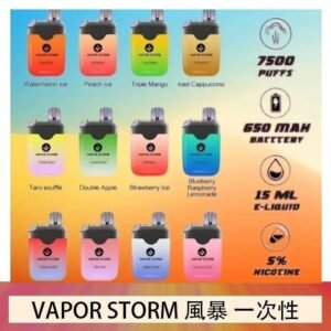 Vapor Storm風暴電子煙7500口（5%）一次性